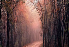 单反相机摄像套件是什么,单反相机套装包括什么