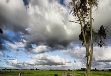 相机跟焦器怎么用比较好,单反相机跟焦器