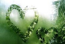 手机单反套件有必要吗为什么找不到镜头,为什么手机没有单反细节清楚