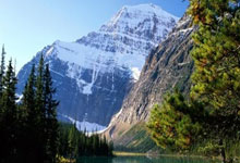 手机单反套件有哪些功能可以用吗,手机中的单反是什么手机